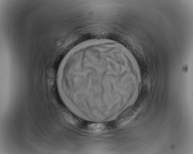 X0000098180133200805151149