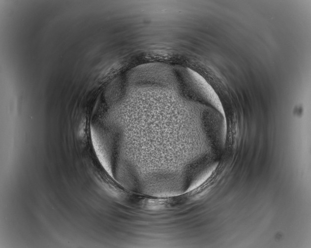 X0000098180134200805151149