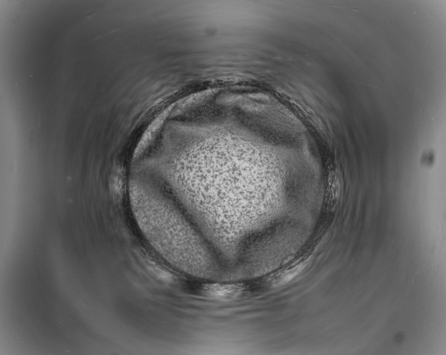 X0000098180135200805151149