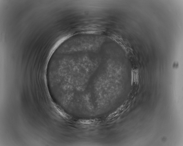 X0000098180147200805151148