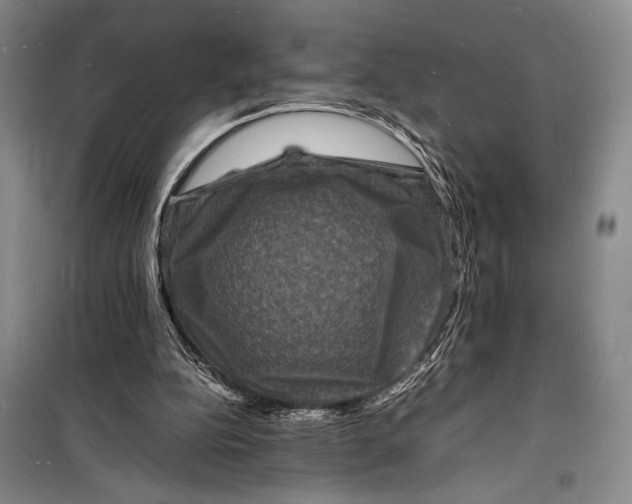 X0000098180152200805151148