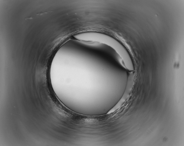 X0000098180154200805151148