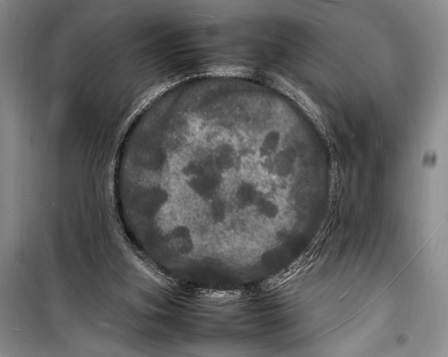 X0000098180155200805151148