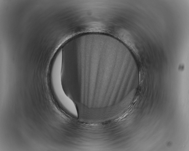 X0000098180156200805151148