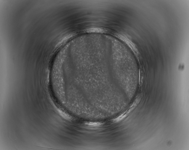 X0000098180157200805151148