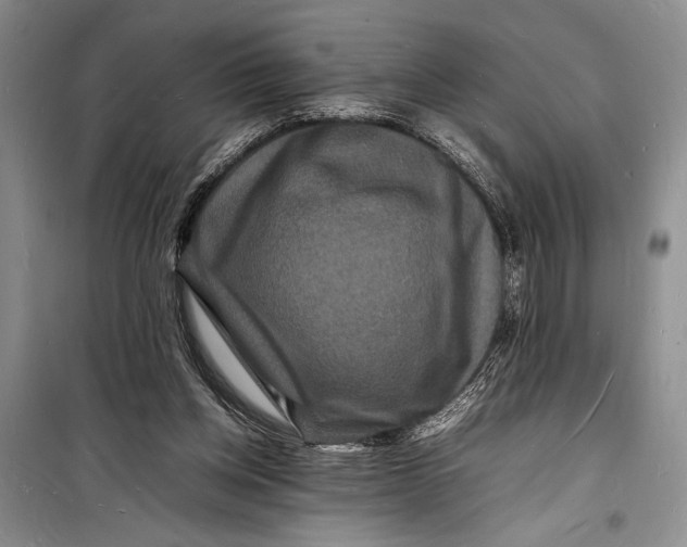 X0000098180158200805151148