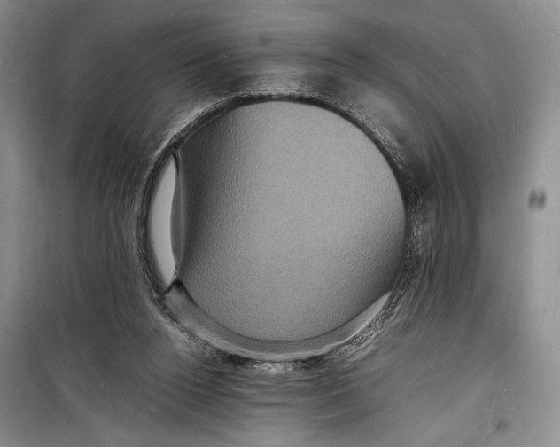 X0000098180160200805151148