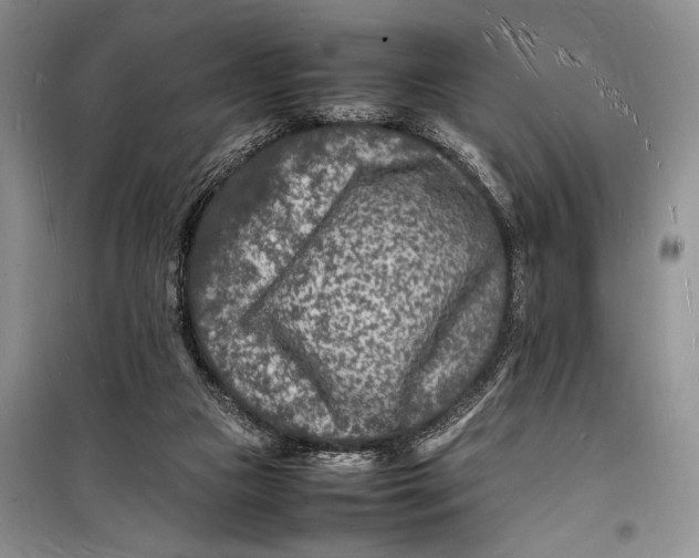 X0000098180161200805151148