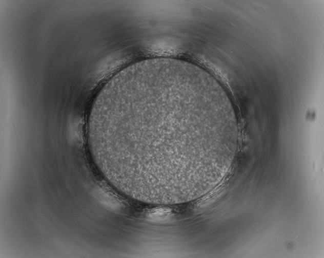 X0000098180162200805151148