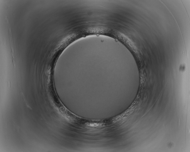 X0000098180163200805151148