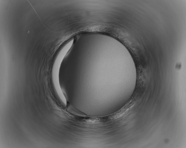 X0000098180164200805151148