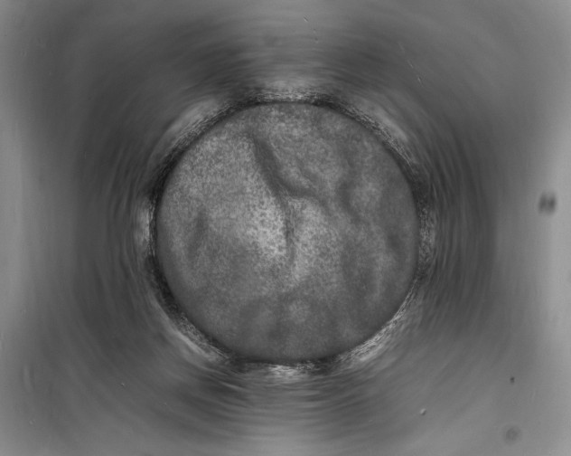 X0000098180166200805151149