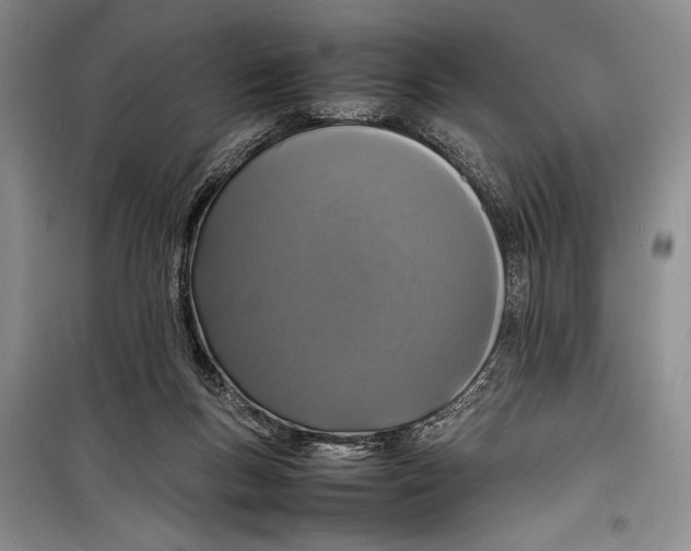 X0000098180167200805151149