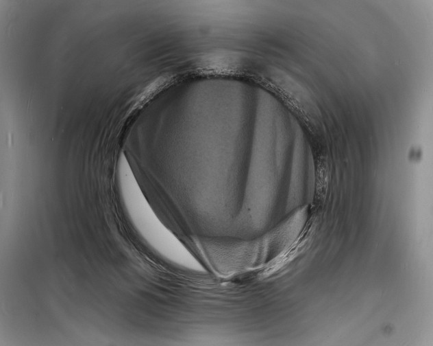 X0000098180168200805151149