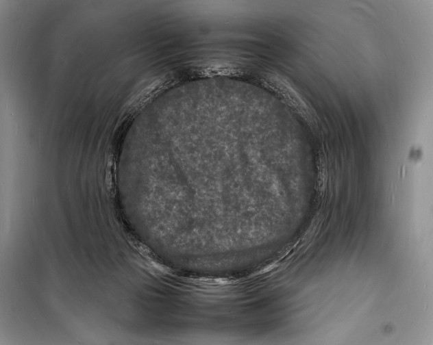 X0000098180169200805151149