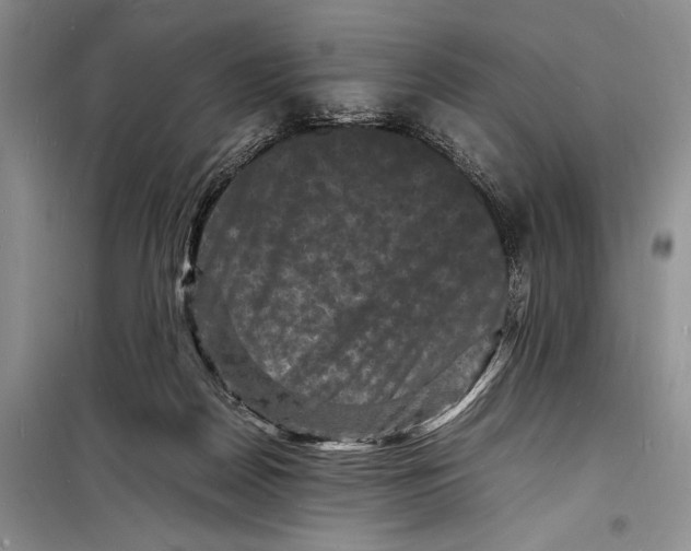 X0000098180170200805151149