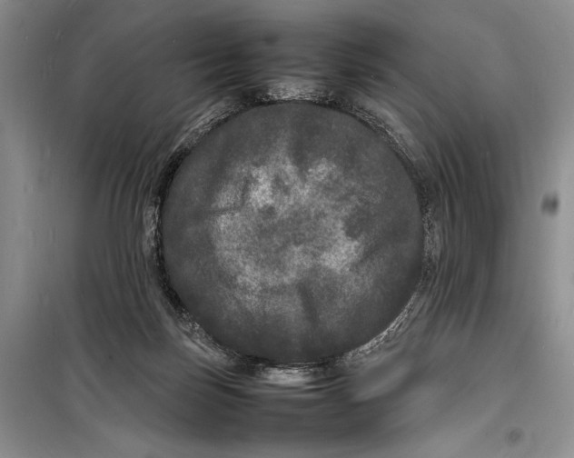 X0000098180171200805151149