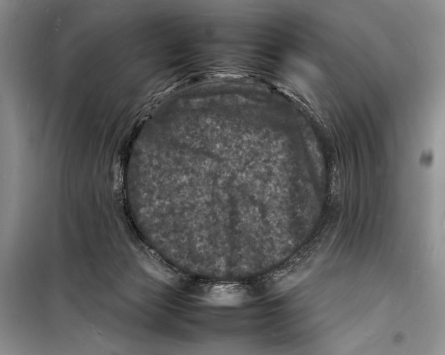 X0000098180173200805151149