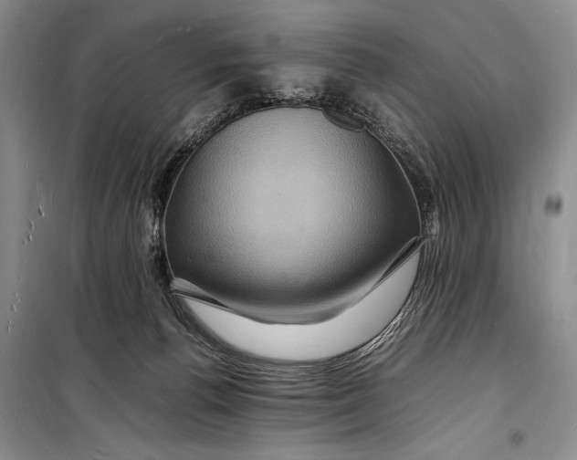 X0000098180176200805151149