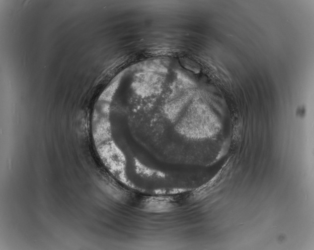 X0000098180179200805151149