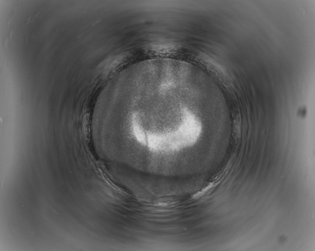 X0000098180181200805151149