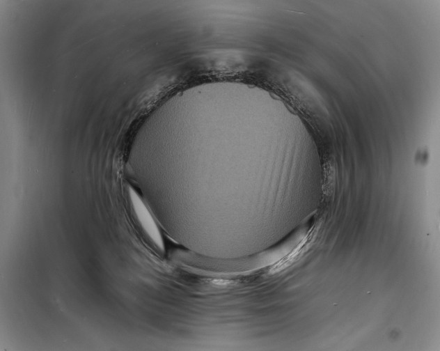 X0000098180184200805151149