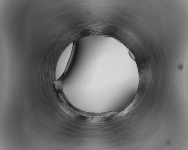 X0000098180186200805151149