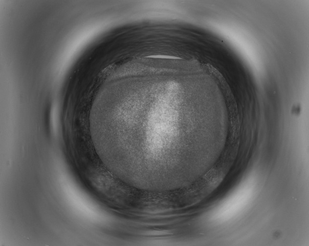 X0000098180189200805151149