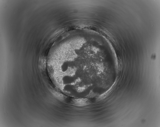 X0000098180191200805151149