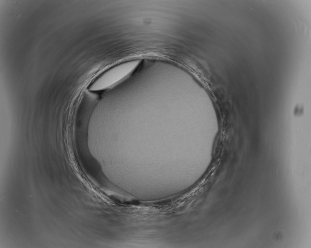 X0000098180193200805151148