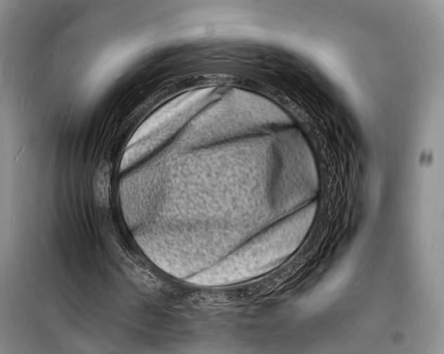 X0000098180194200805151148