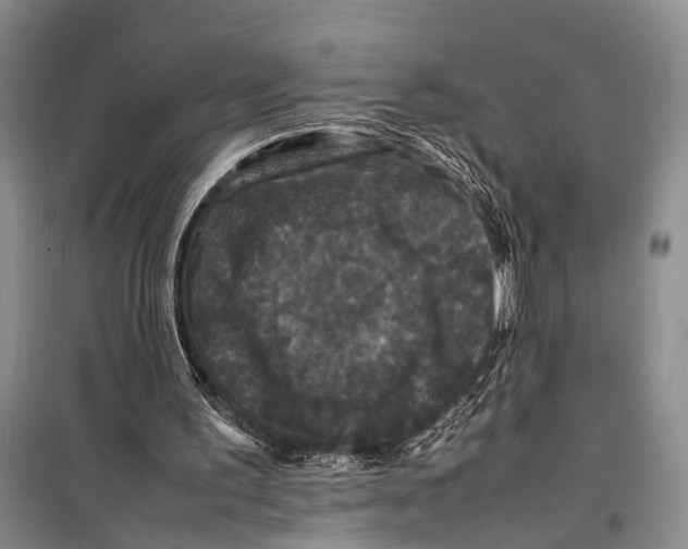 X0000098180195200805151148