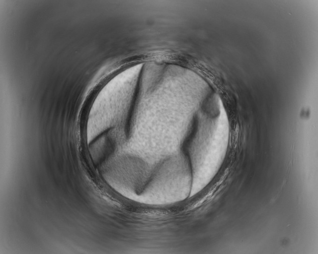 X0000098180198200805151148