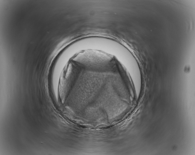 X0000098180199200805151148