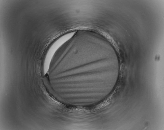 X0000098180201200805151148