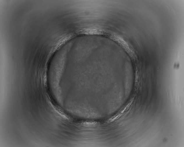 X0000098180202200805151148