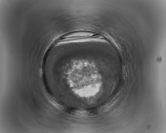 X0000098180203200805151148