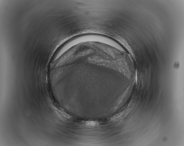 X0000098180204200805151148