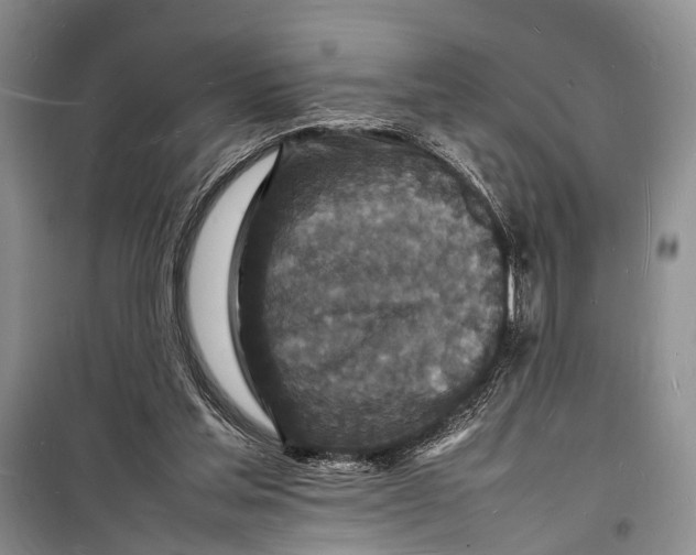 X0000098180205200805151148