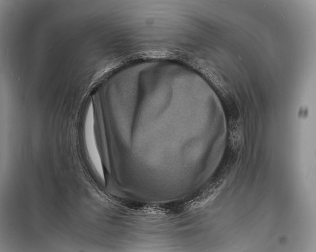 X0000098180207200805151148