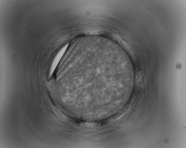 X0000098180209200805151148