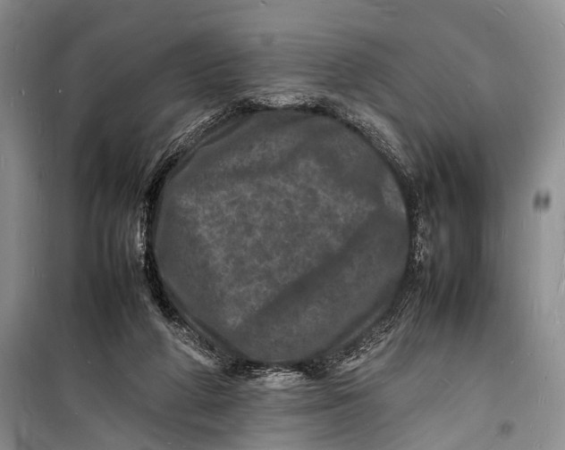 X0000098180210200805151148