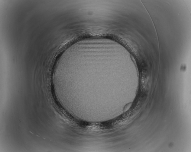 X0000098180211200805151148