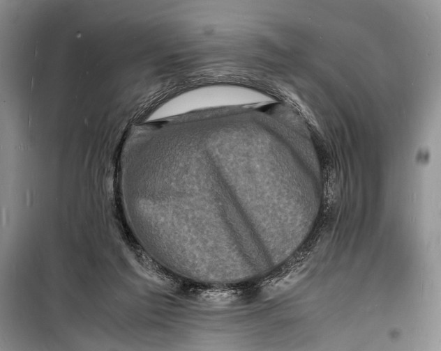 X0000098180213200805151148