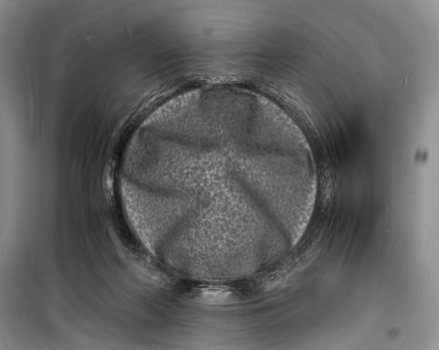 X0000098180214200805151148