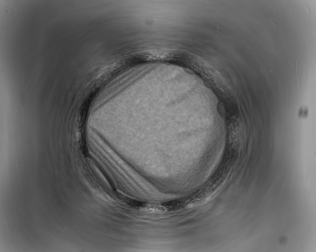 X0000098180215200805151148