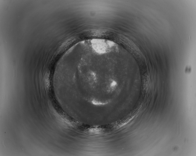 X0000098180216200805151148