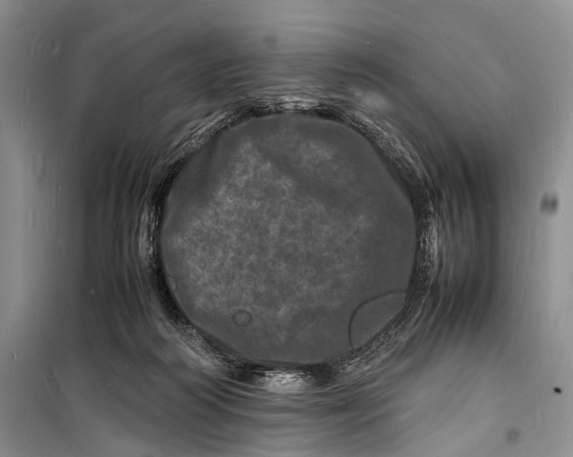 X0000098180218200805151148