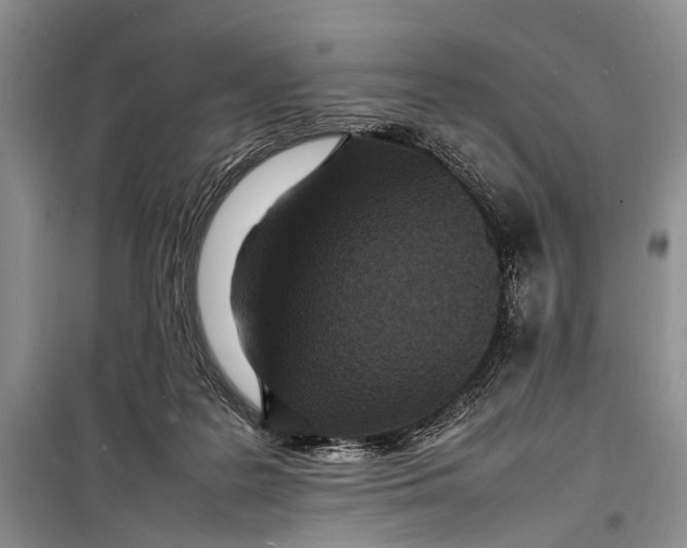 X0000098180219200805151148