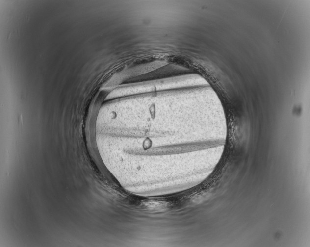 X0000098180221200805151148